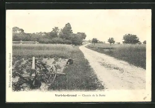 AK Vert-le-Grand, Chemin de la Butte