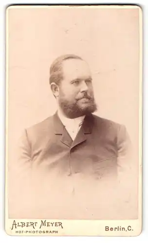Fotografie Albert Meyer, Berlin-C, Portrait stattlicher Herr im Anzug mit Krawatte und Vollbart
