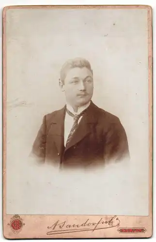 Fotografie A. Jandorf & Co., Berlin, Portrait stattlicher Herr im Anzug mit Krawatte