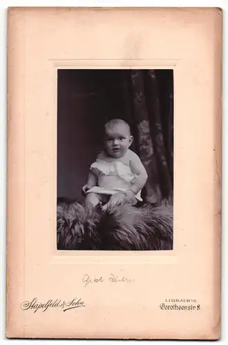 Fotografie Stapelfeld & Sohn, Limbach i / S., Portrait niedliches Kleinkind im weissen Hemd auf Fell sitzend
