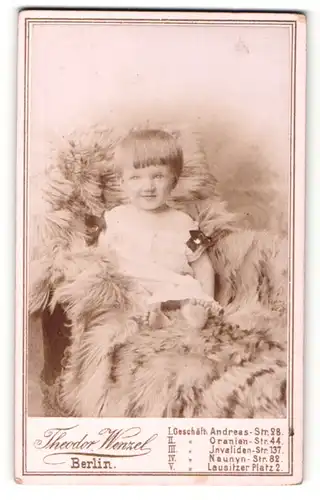Fotografie Theodor Wenzel, Berlin, Portrait niedliches Kleinkind auf einem Fell
