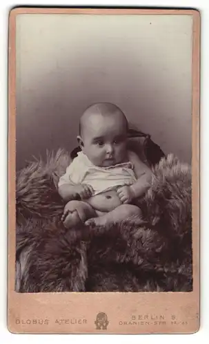 Fotografie Globus Atelier, Berlin, Portrait propperes Baby auf einem Fell