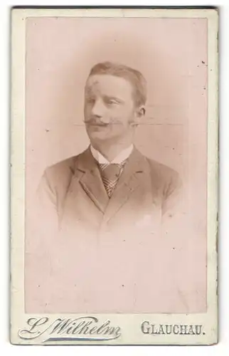 Fotografie L. Wilhelm, Glauchau, Portrait Herr im Anzug mit Krawatte