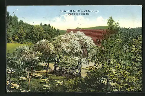AK Altendorf /Sebnitztal, Buttermilchmühle hinter blühenden Bäumen
