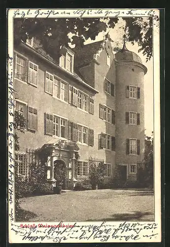 AK Mainsondheim, Schloss