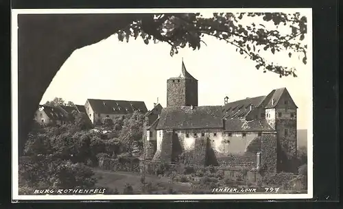 AK Rothenfels / Main, Baum gegen Burg