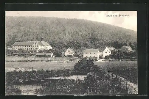 AK Schönau / Main, Teich vor dem Kloster