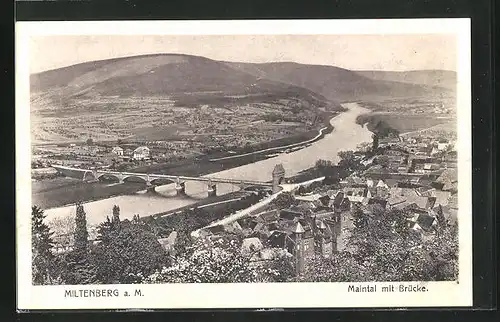 AK Miltenberg / Main, Maintal mit Brücke