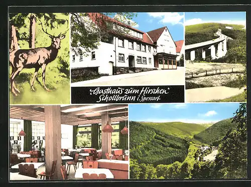 AK Schollbrunn, Gasthaus zum Hirschen, Innenansicht, Autobahn