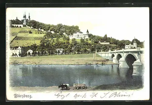 AK Würzburg, Mainufer und das Käppele im Hintergrund