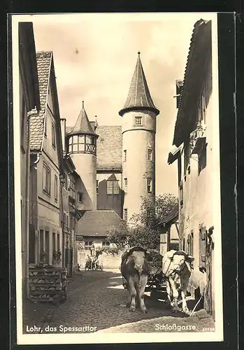 AK Lohr, Strasse Schlossgasse mit Ochsenkarren