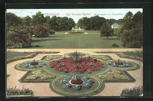 AK Dresden, Königlicher Grosser Garten, Blumenbeet an der Hauptallee