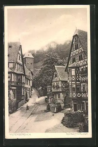 AK Miltenberg a.Main, Strasse am Schnatterloch