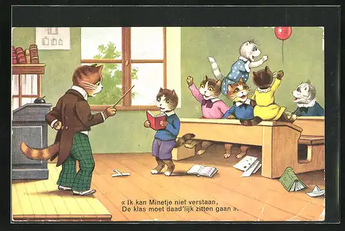 AK Schüler & Lehrer in der Katzenschule