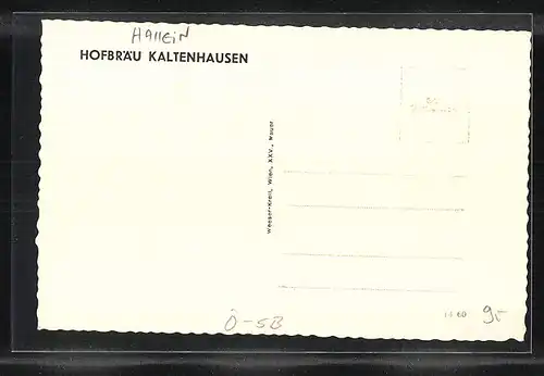 AK Hallein, Hofbräu Kaltenhausen von oben