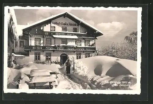 AK Salzburg, Gasthof und Hotel Zistelalm im Winter, Am Gaisberg