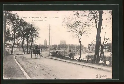 AK Beaugency, Le Pont et Vue Générale