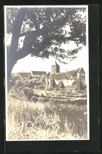 AK Rothenfels, Blick über Wiesen zur Burg
