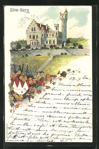 Lithographie Würzburg, Gasthaus Stein-Burg mit Wappen