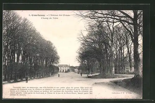 AK Courtenay, L`Avenue des Ormes