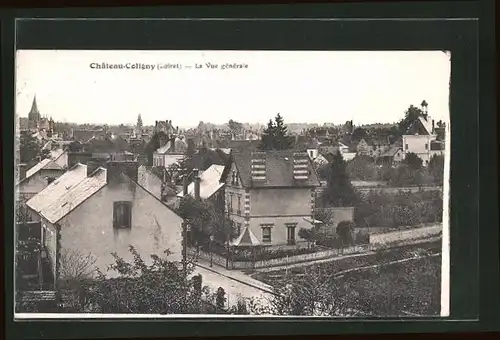 AK Chatillon-Coligny, Vue générale