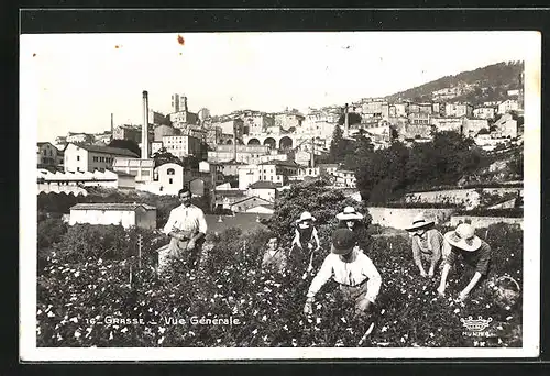 AK Grasse, Vue Générale