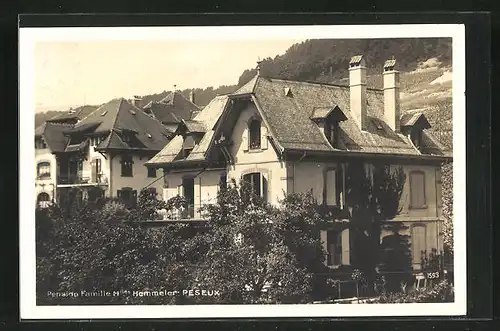 AK Peseux, Pension Famille Milles Hemmeler