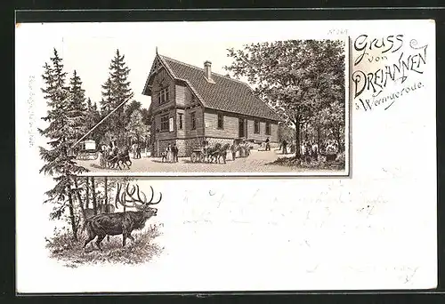 Lithographie Drei-Annen-Hohne, Gasthaus Dreiannen mit Pferdekutsche, Hirsch beim Ruf