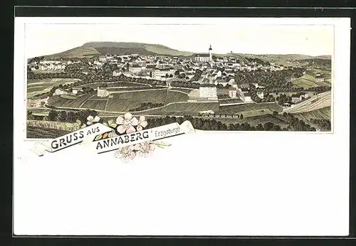 Lithographie Annaberg / Erzgeb., Panoramablick auf die Ortschaft