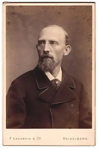 Fotografie F. Langbein & Co., Heidelberg, Portrait modisch gekleideter Herr mit grauem Vollbart