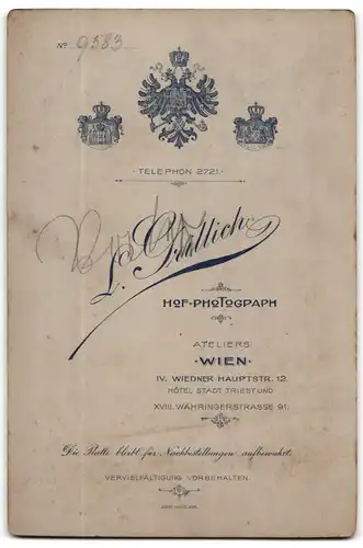 Fotografie L. Grillich, Wien, Wiedener Hauptstrasse 12, Herr mit strengem Blick und Schnurrbart