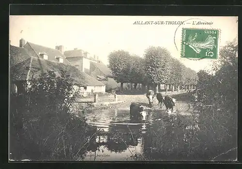 AK Aillant-sur-Tholon, L`Abreuvoir