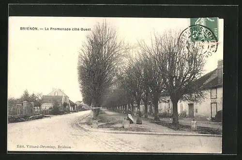 AK Brienon, La Promenade coté Ouest