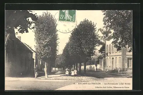 AK Aillant-sur-Tholon, Les Promenades côté Nord