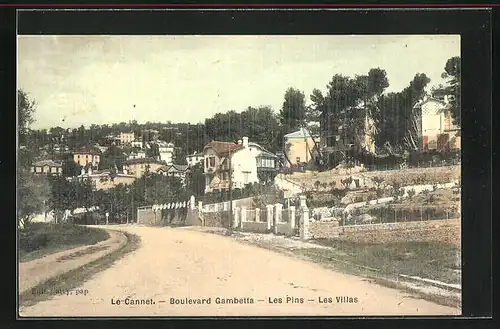 AK Le Cannet, Boulevard Gambetta, Les Villas