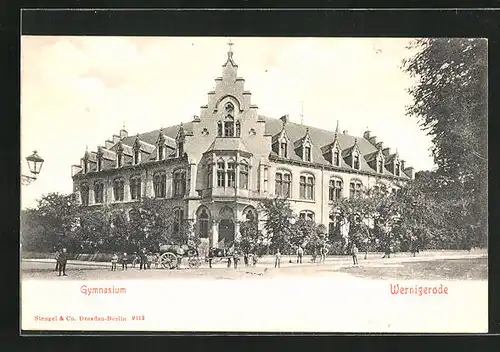 AK Wernigerode, Kinder vor dem Gymnasium