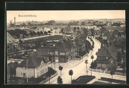 AK Brunsbüttelkoog, Teilansicht mit Strassenpartie