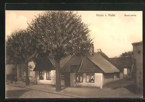 AK Heide i. Holst., Bäume an der Strasse Westerweide