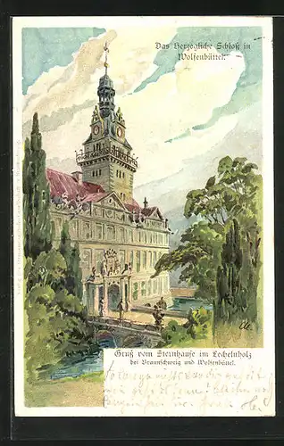 Lithographie Wolfenbüttel, Herzogliches Schloss im Sommer