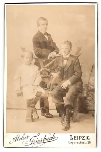 Fotografie C. Griesbach, Leipzig, Bayerschestrasse 30, Jungs mit ihrem kleinen Hund im Arm