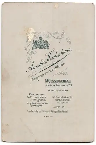 Fotografie A. Heidenhaus, Mürzzuschlag, Mariazellerstr. 177, Portrait Geistlicher mit Kollar im Anzug