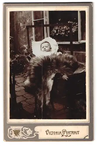 Fotografie Victoria Portrait, Ort unbekannt, Portrait Baby im Kinderwagen mit Pelzdecke