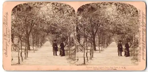 Stereo-Fotografie Underwood & Underwood, New York, Ansicht New York, NY, Lover`s Lane in Central Park