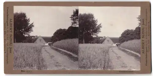 Stereo-Fotografie Albert Schou jr., Kopenhagen, Frederiksborggade 1, unbekannter Ort, Feldweg am Eingang eines Dorfes