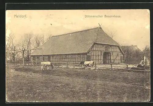 AK Meldorf / Holstein, Dithmarscher Bauernhaus