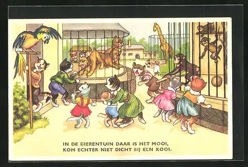 AK Katzenkinder im wilden Zoo, vermenschlichte Tiere