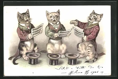 AK Katzenchor mit Zylinder als Geldsammler, vermenschlichte Tiere