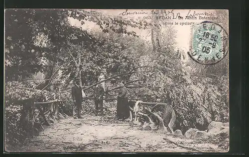 AK Sedan, le Jardin Botanique apres le Cyclone