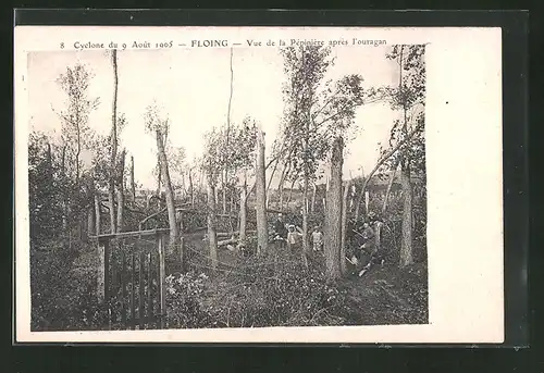 AK Floing, Vue de la Pépiniére aprés l'Ouragan, Cyclone 1905