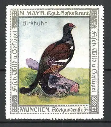 Reklamemarke Hoflieferant N. Mayr, München, Ansicht eines Birkhuhns